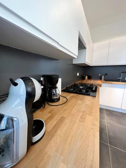 Bellevue - Grand Appartement Pour 5 Sur Les Quais De La Meuse Liege Ngoại thất bức ảnh